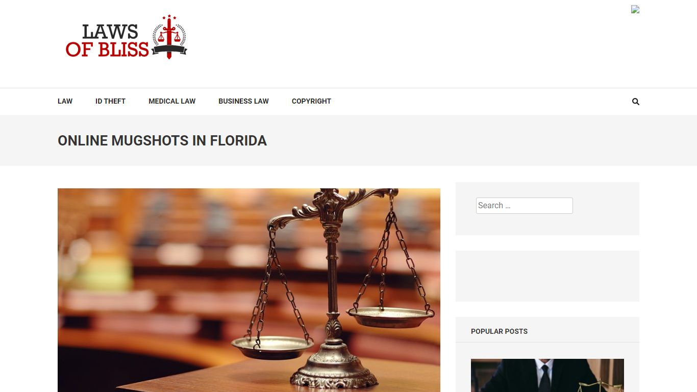 Online Mugshots in Florida | Laws Of Bliss